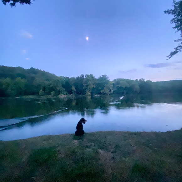 Meet your Posher, Julie - Picture 2 of 2